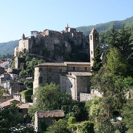 Rustic Liguria Villa Ceriana Екстериор снимка