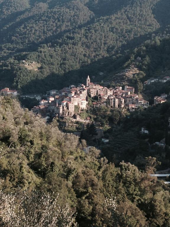 Rustic Liguria Villa Ceriana Екстериор снимка